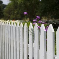 Découvrez comment choisir votre clôture en bois en 2024